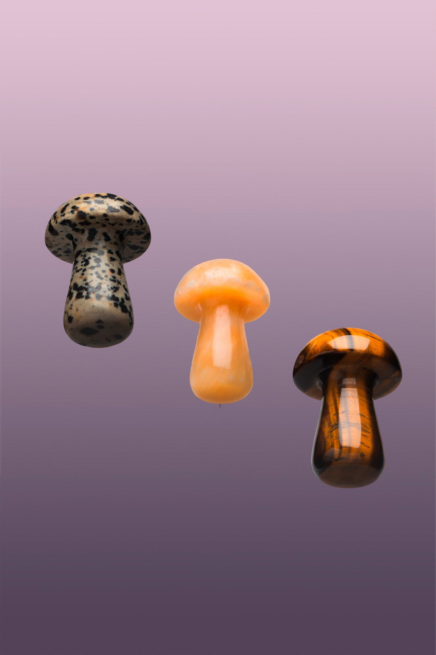 The Gua-Shroom Set