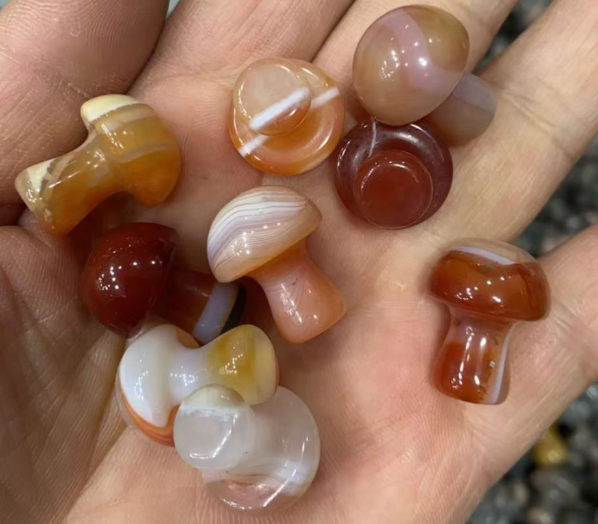 MINI GUA-SHROOM PAIR (GIFTS)