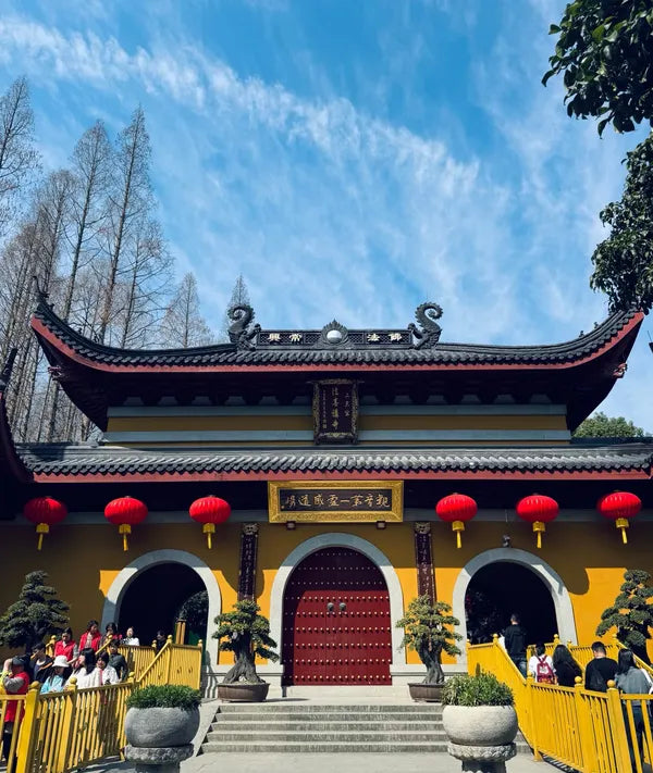 Hangzhou TCM Internship