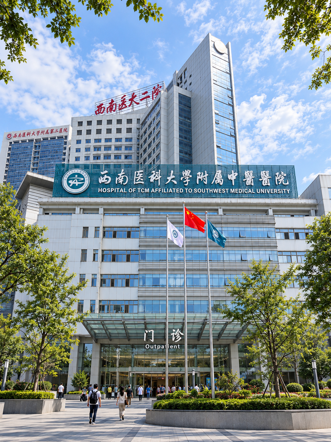Luzhou TCM Internship