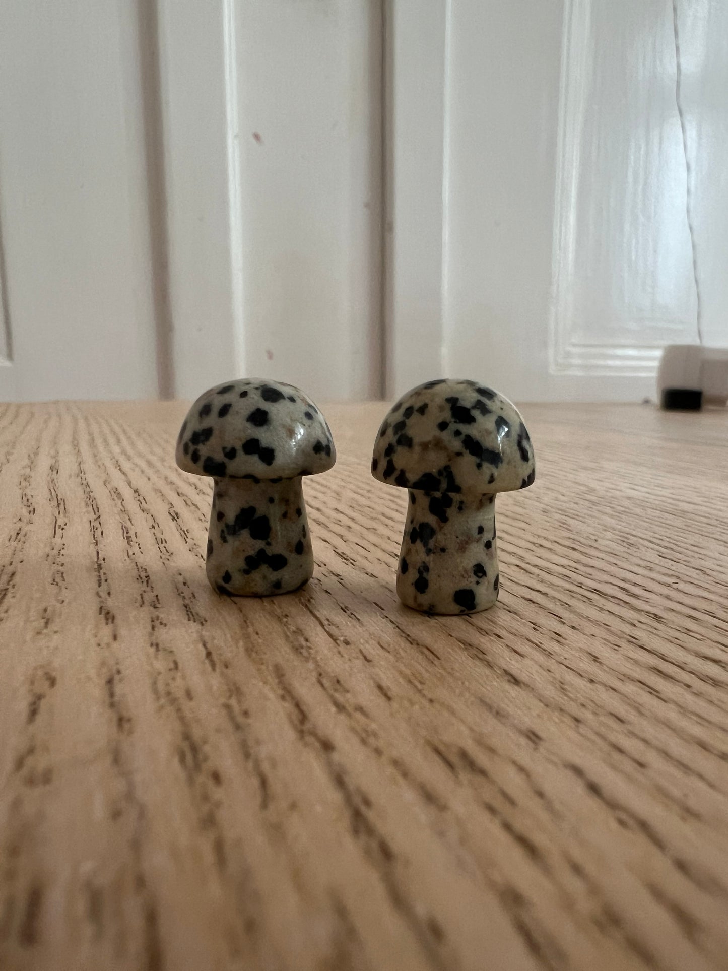 Mini Dalmatian Pair