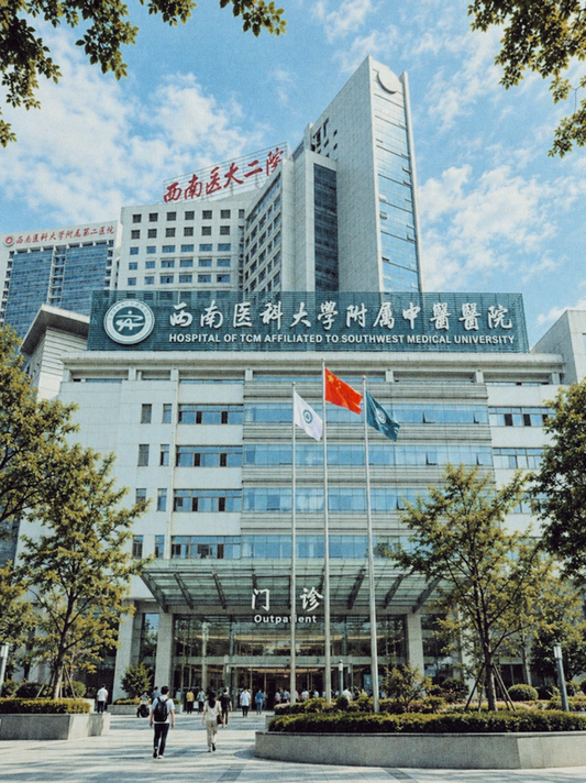 Luzhou TCM Internship
