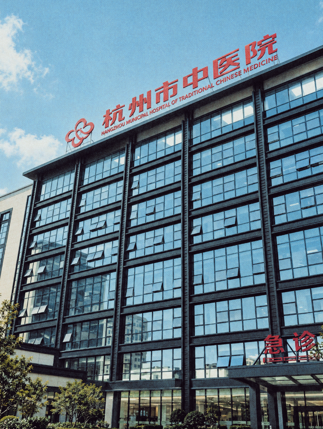 Hangzhou TCM Internship