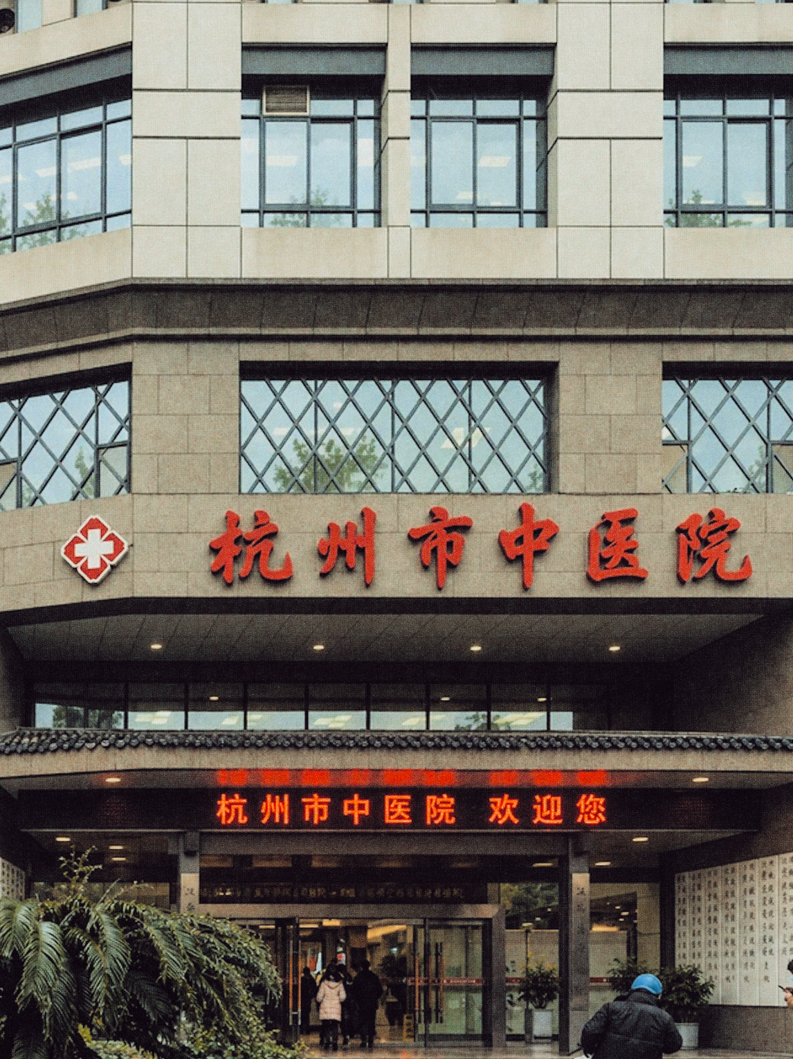 Hangzhou TCM Internship