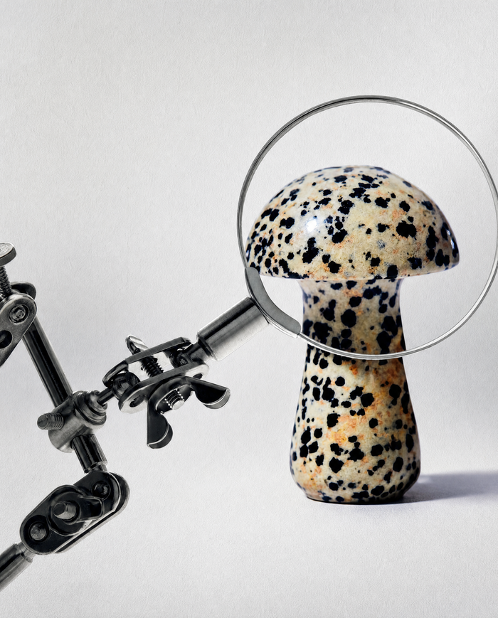 The Gua-Shroom